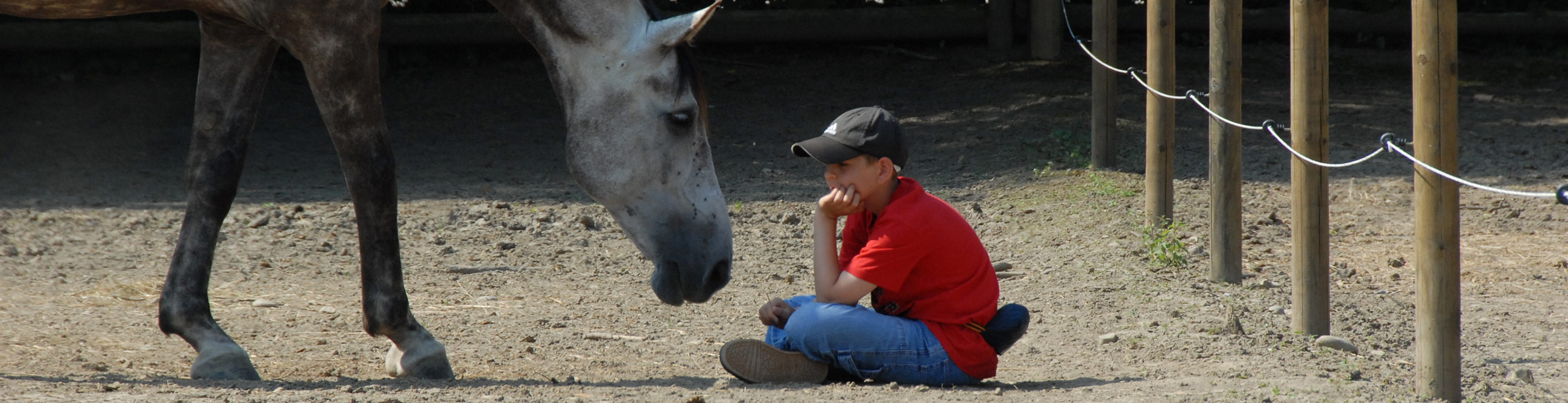 accompagnement enfants avec chevaux coaching enfants et adolescents chevaux suisse romande